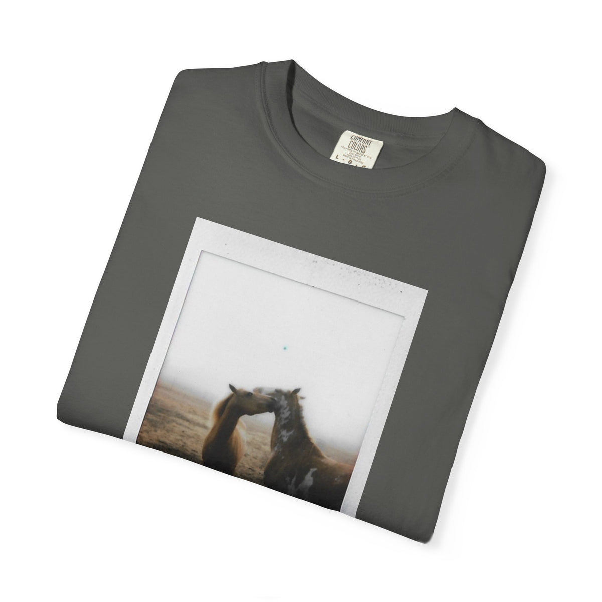 Hollywood & Eastwood Poloroid