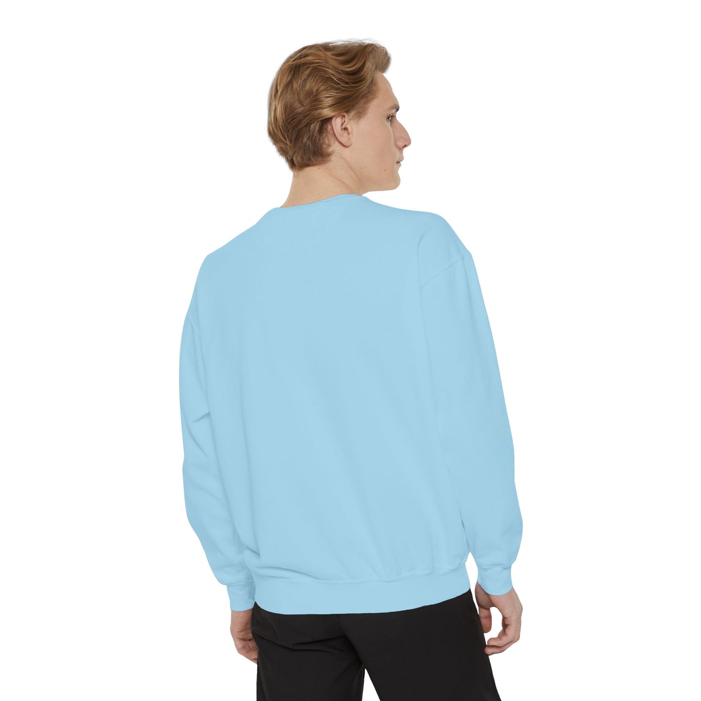 Hollywood & Eastwood Polaroid Sweatshirt