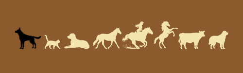 Casey's Menagerie